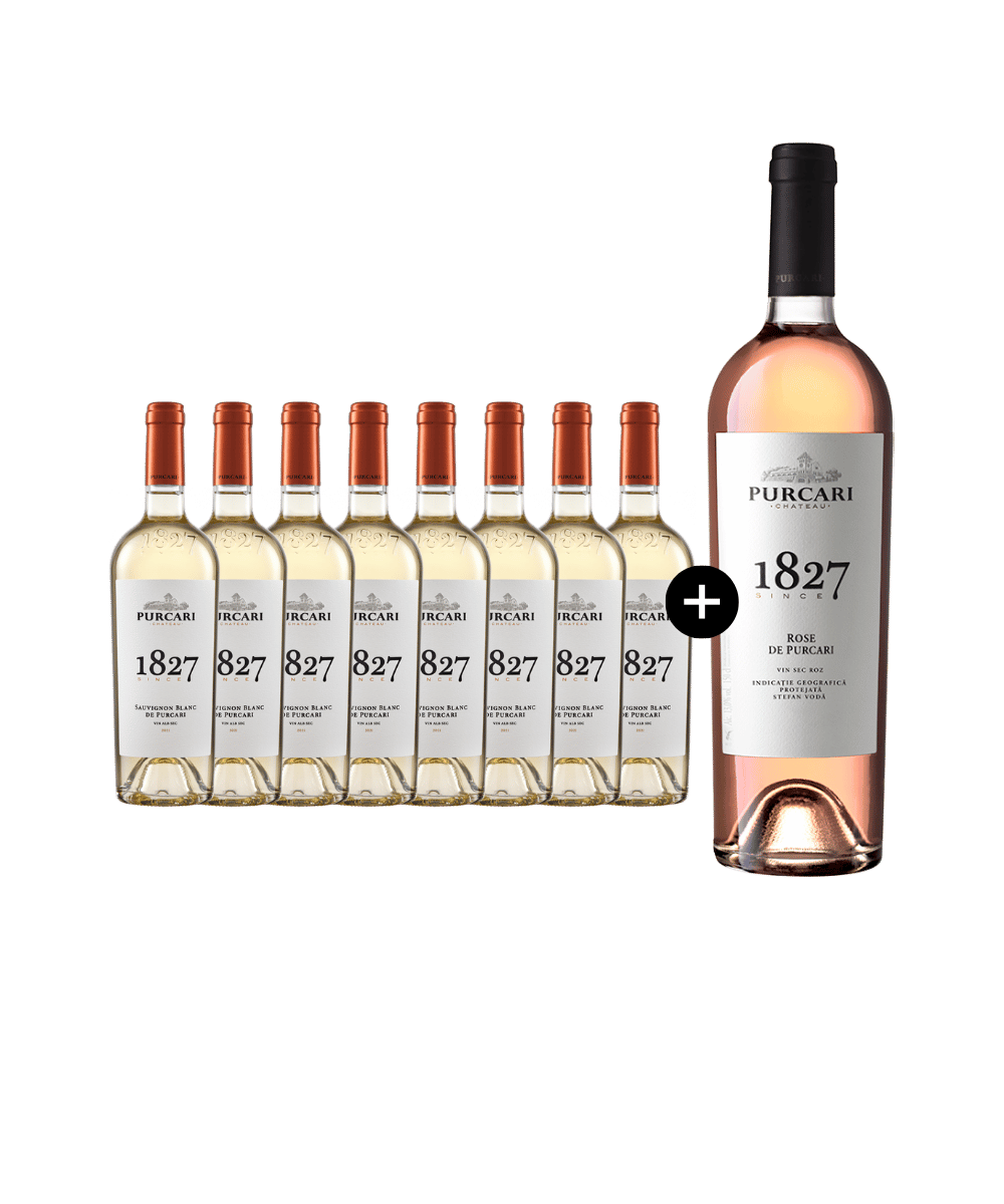 Polo Special: 8 Sauvignon Blanc + 1 Rosé Magnum Gratis