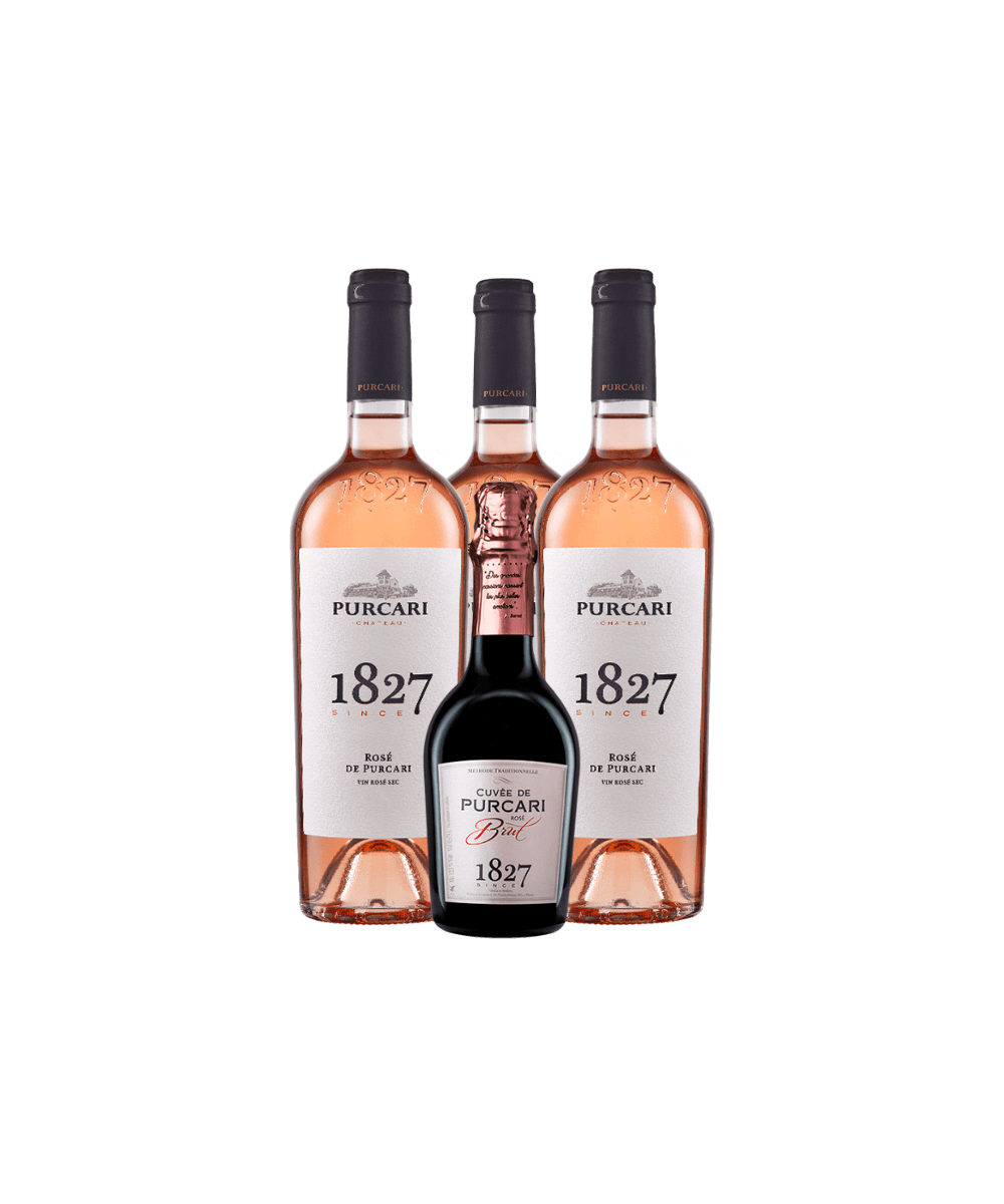 Halloween Special Basic