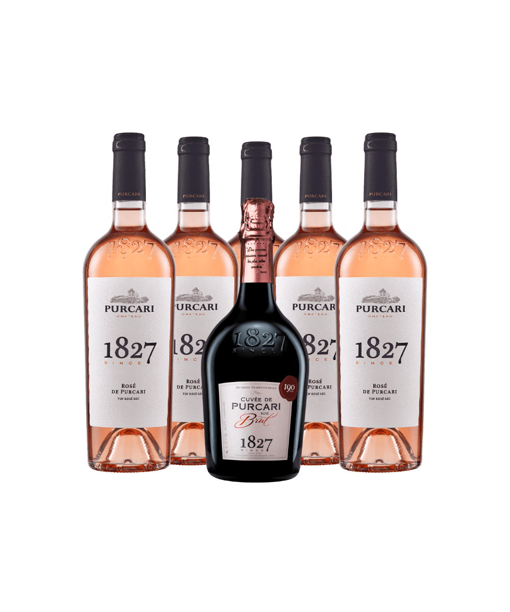 Halloween Special Premium