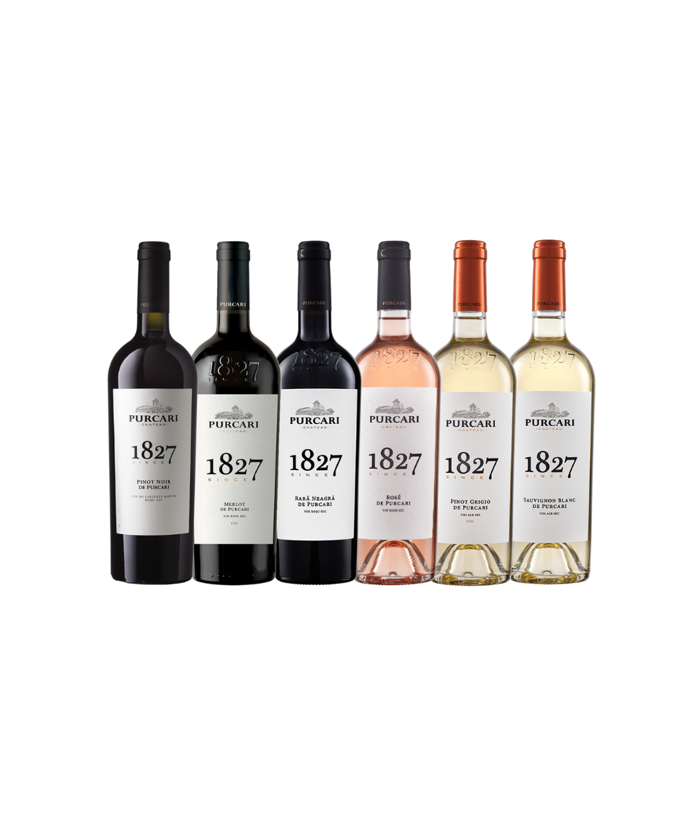 Bestseller Kennenlernpaket Basic