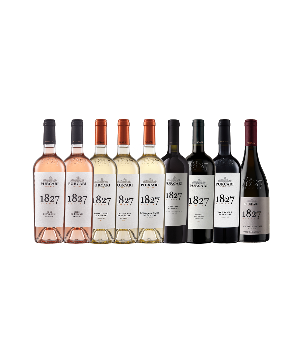 Bestseller Kennenlernpaket Premium