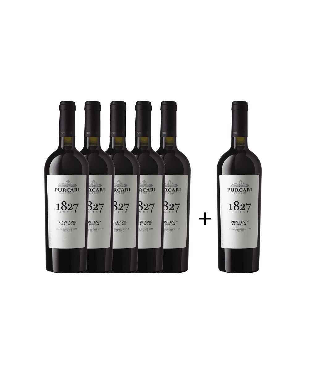 Martinsgans - Pinot Noir